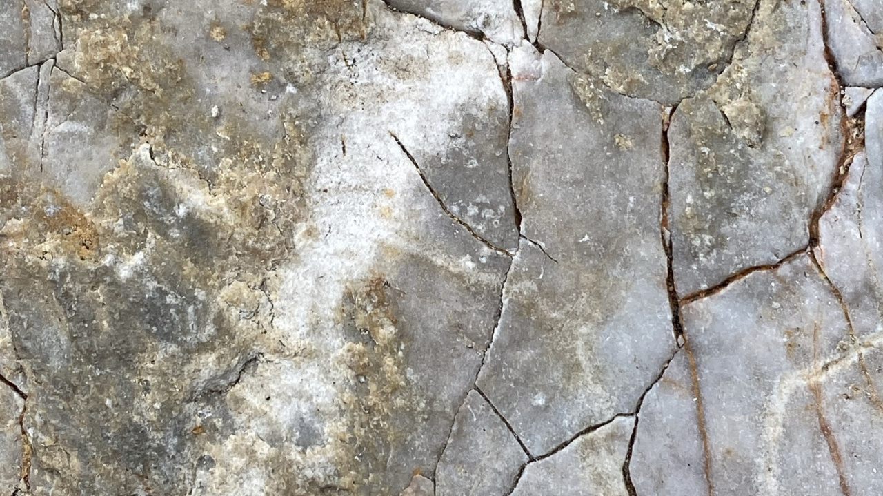 Обои стена, обнажение, коричневый цвет, коренная порода, древесина в разрешении 1280x720