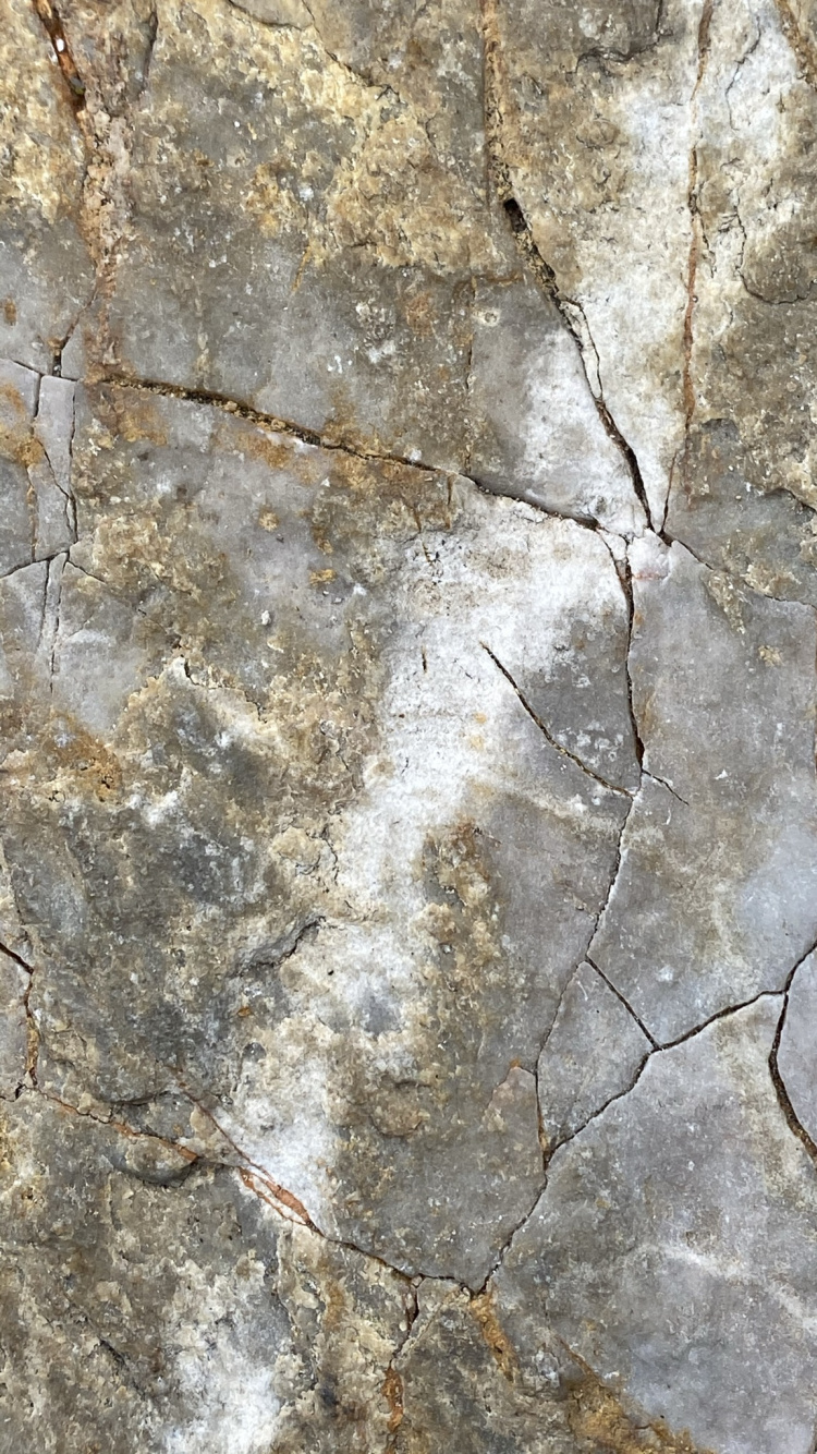 Обои стена, обнажение, коричневый цвет, коренная порода, древесина в разрешении 750x1334