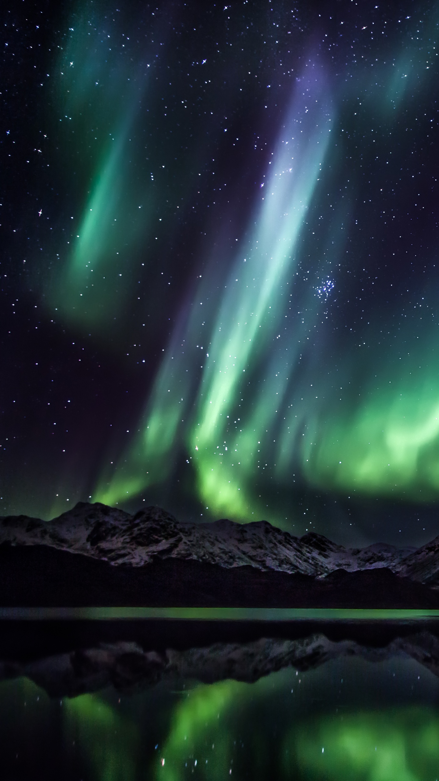 Обои Гренландия, Аврора, путешествие, природа, зеленый в разрешении 1440x2560