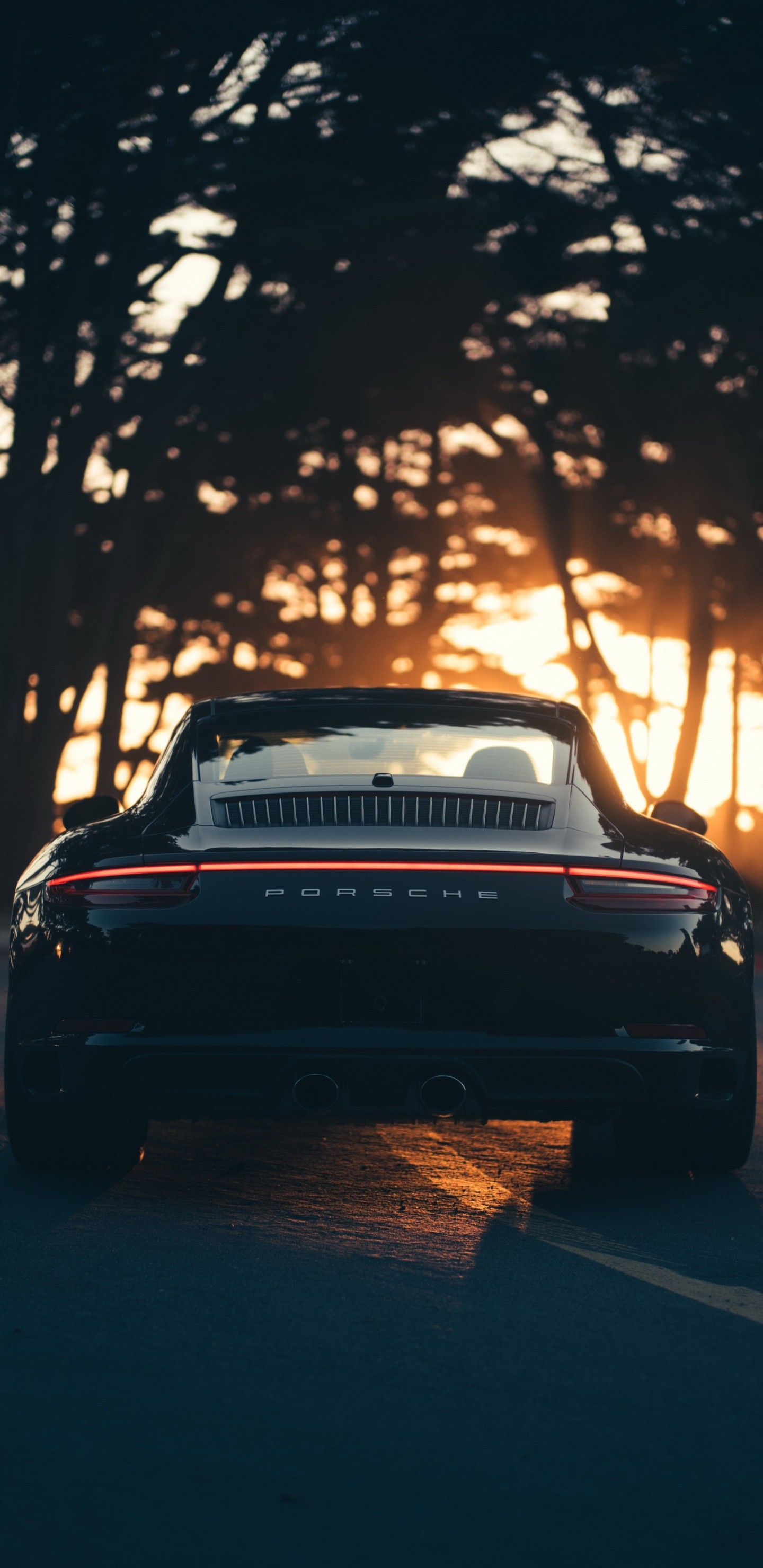 Обои телефон порше 911, porsche 911 gt3, Порше, спорткар, легковые автомобили в разрешении 1440x2960