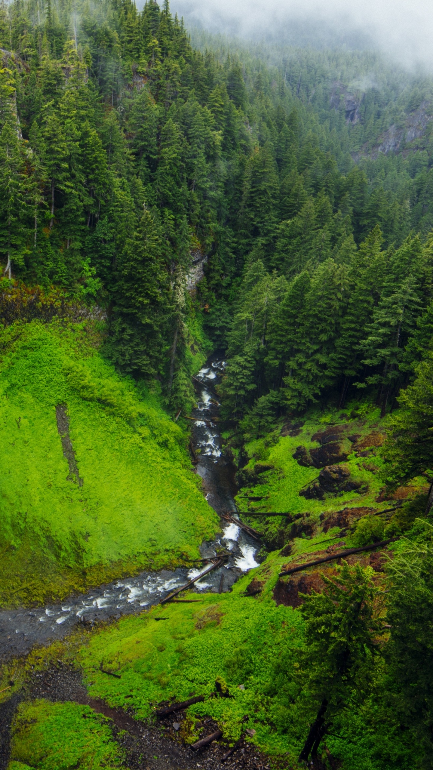 Обои водопад, гидроресурсы, водоем, природа, вода в разрешении 1440x2560