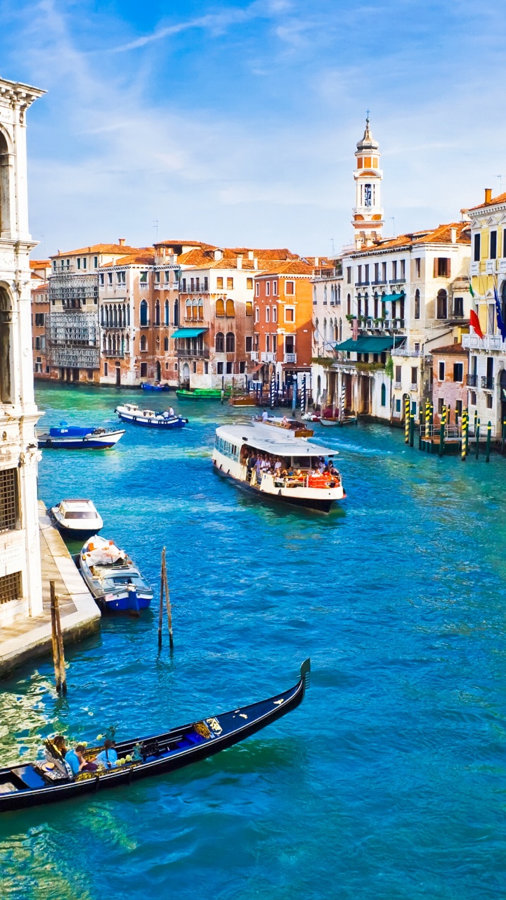 Обои Гранд-канал, мост Риальто, дворец Дожей, Базилика Сан-Марко, гондола в разрешении 720x1280