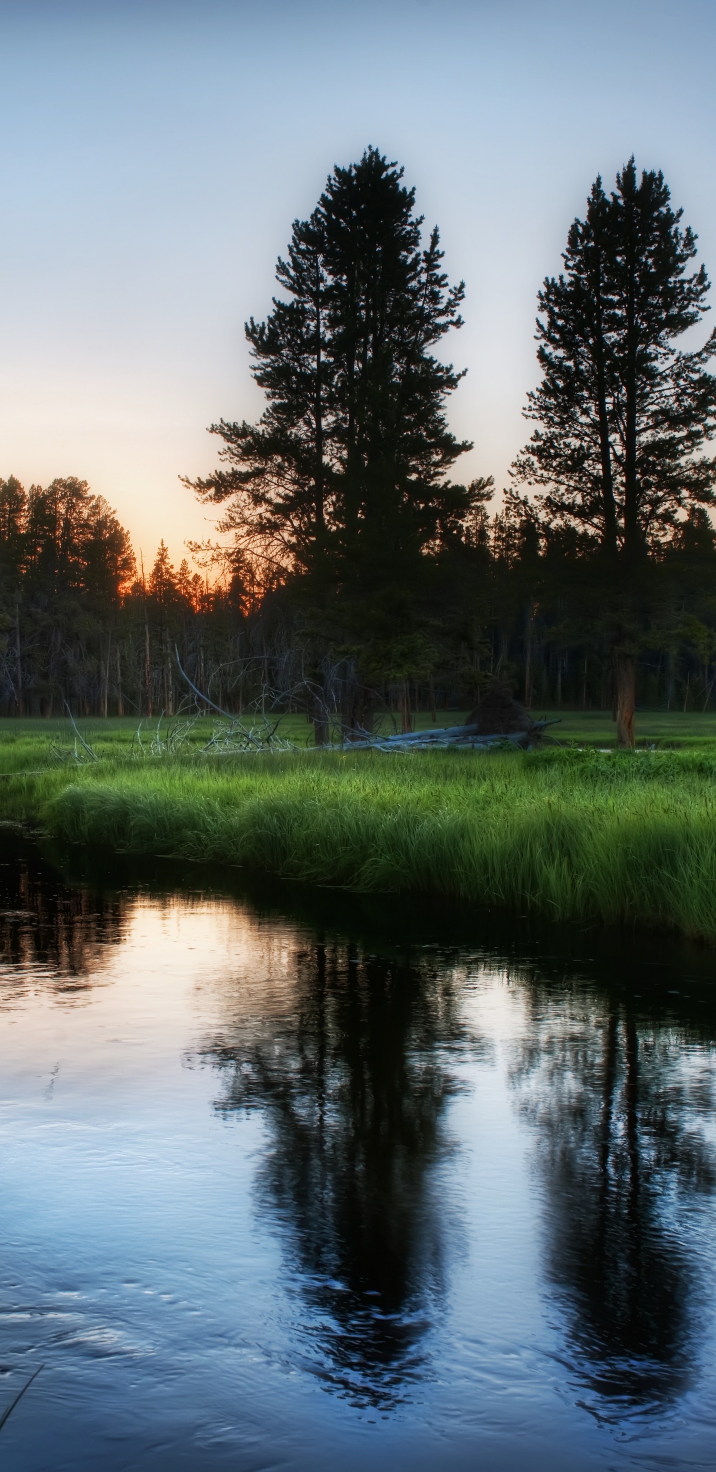 Обои небо, озеро, отражение, природный заповедник, болото в разрешении 1440x2960