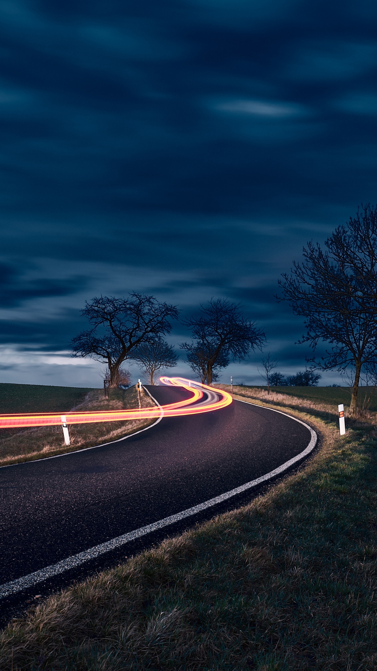 Обои дорога, ночь, синий, облако, дерево в разрешении 1440x2560