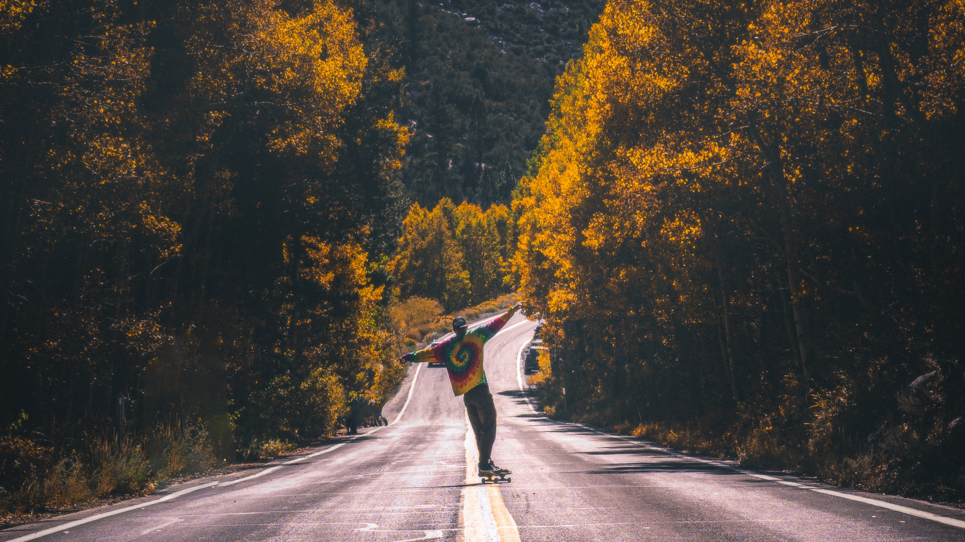 Обои дорога, дерево, асфальт, лист, желтый в разрешении 1920x1080