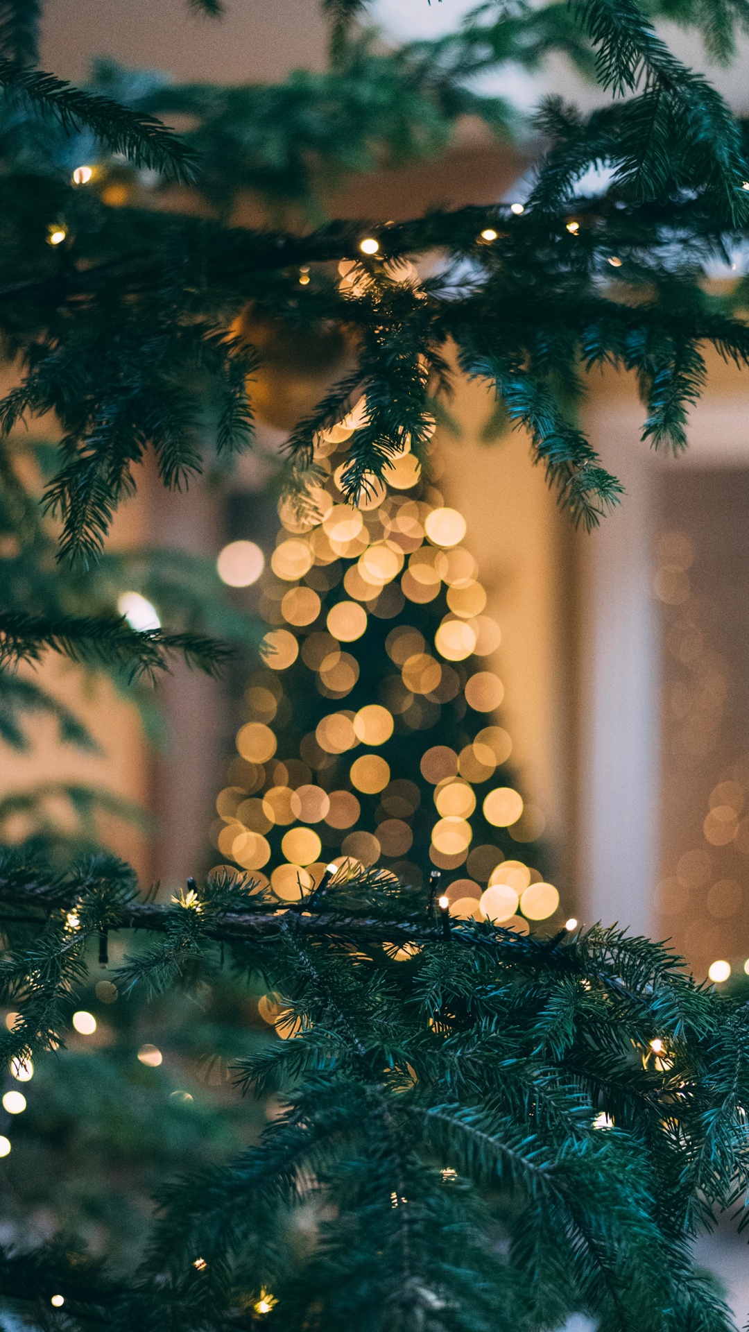 Обои Новый год, Рождество, Рождественский день, елка, праздник в разрешении 1080x1920