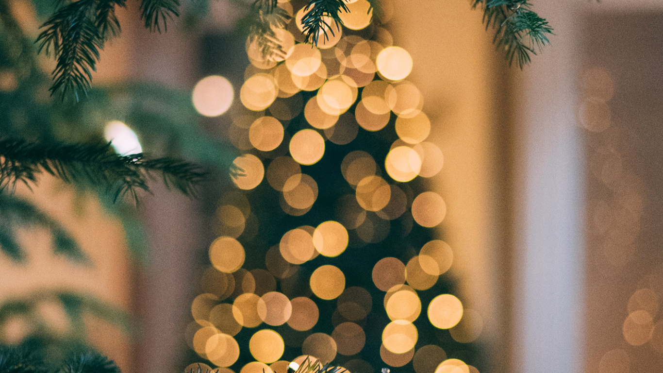 Обои Новый год, Рождество, Рождественский день, елка, праздник в разрешении 1366x768