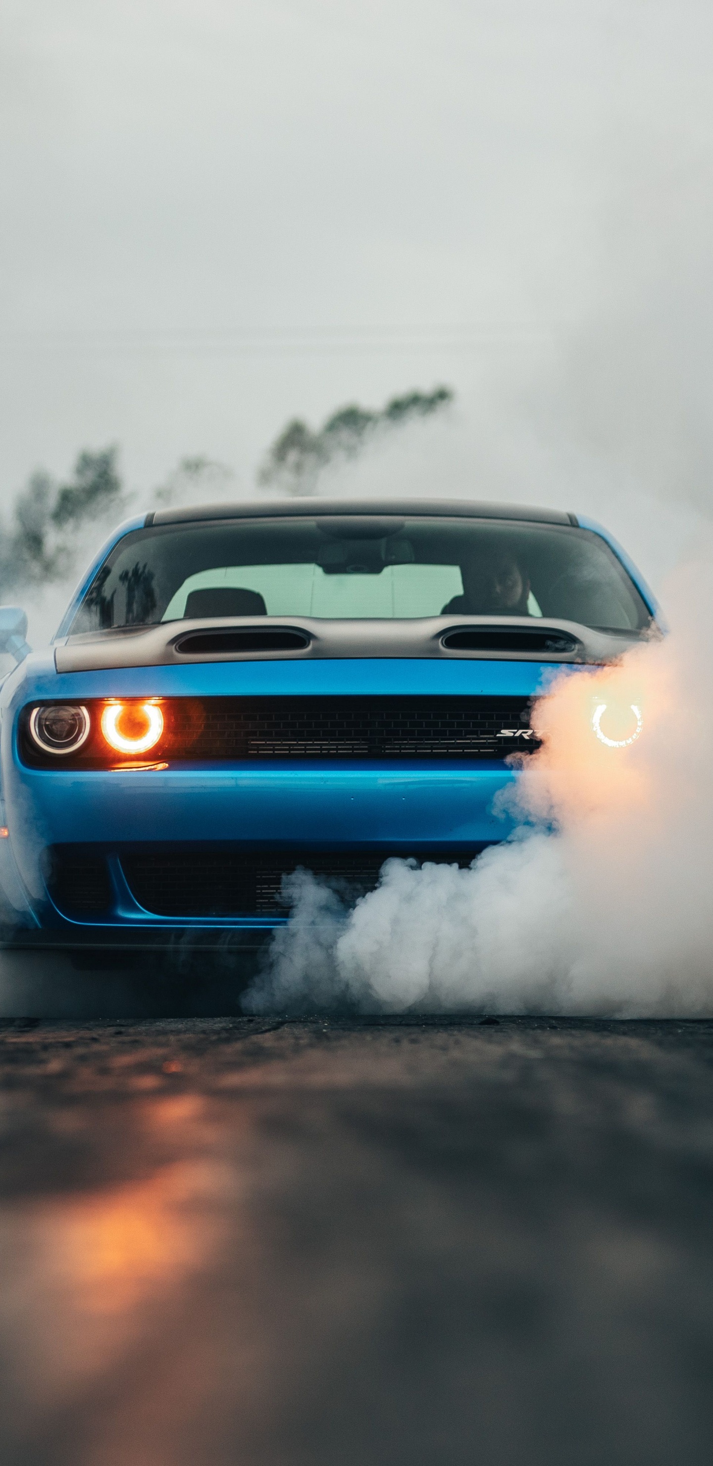 Обои dodge, 2019 Додж Челленджер СРТ мегеру, авто, мускул кар, дрифтинг в разрешении 1440x2960