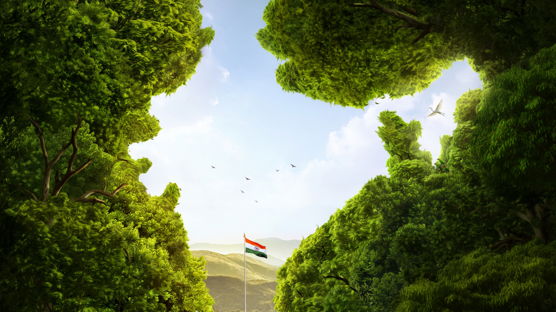 Обои Индия, Флаг Индии, зеленый, природа, растительность в разрешении 1920x1080