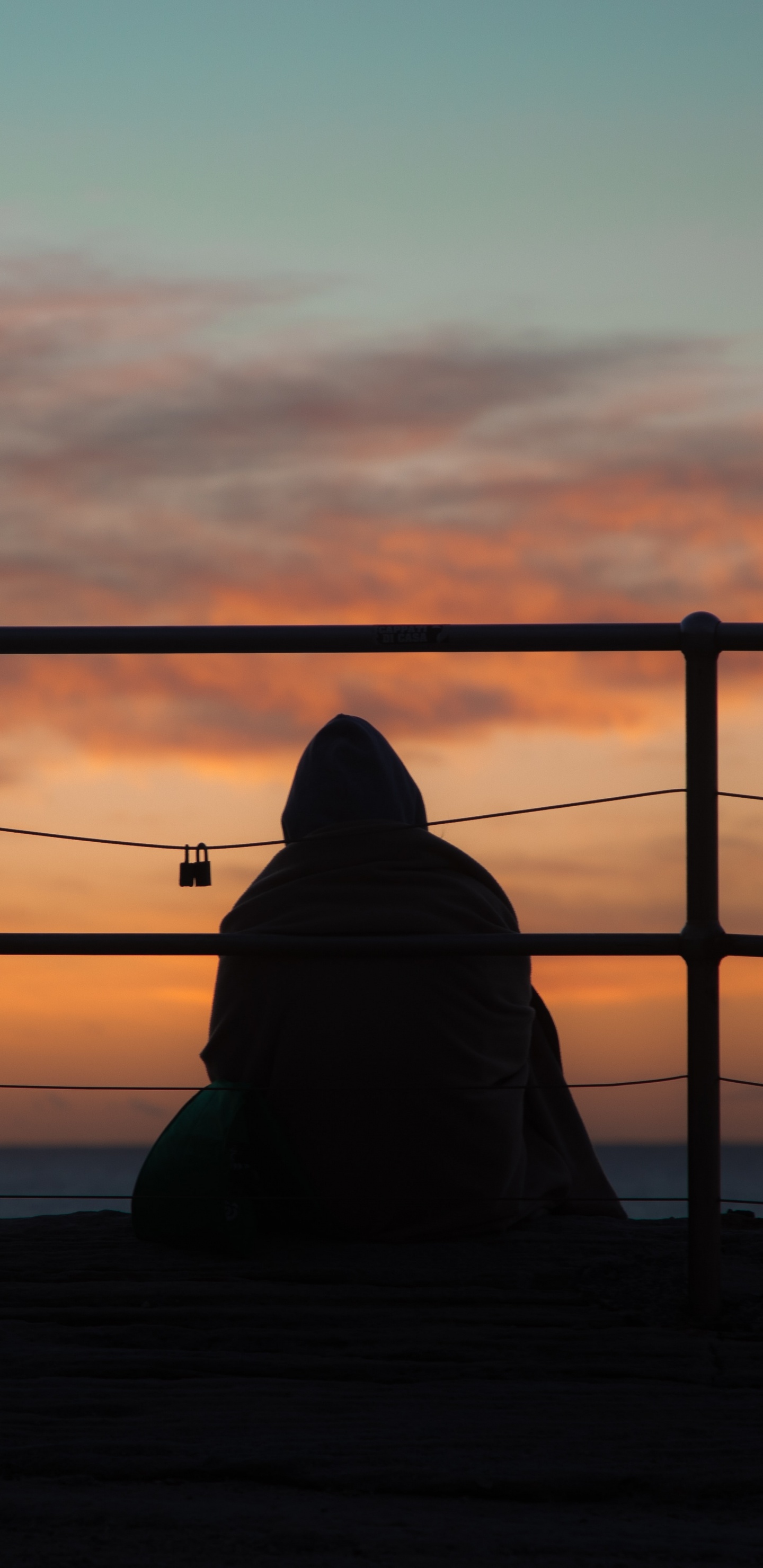 Обои силуэт, закат, горизонт, послесвечение, вечер в разрешении 1440x2960