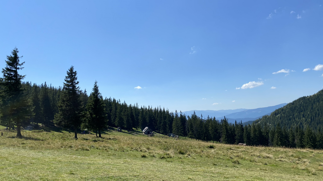 Обои окружающая среда, природный ландшафт, дерево, пейзаж, земельный участок в разрешении 1280x720