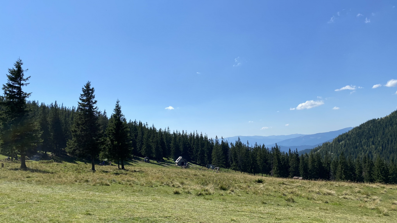 Обои окружающая среда, природный ландшафт, дерево, пейзаж, земельный участок в разрешении 1366x768