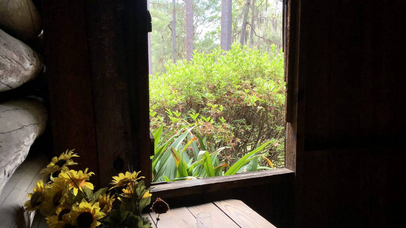 Обои Хаус, освещение, дневное освещение, наука, биология в разрешении 1366x768