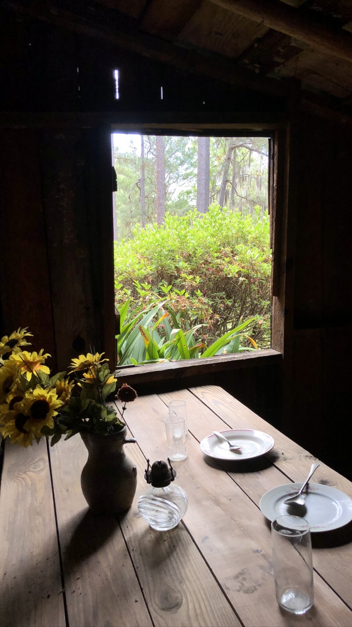 Обои Хаус, освещение, дневное освещение, наука, биология в разрешении 720x1280