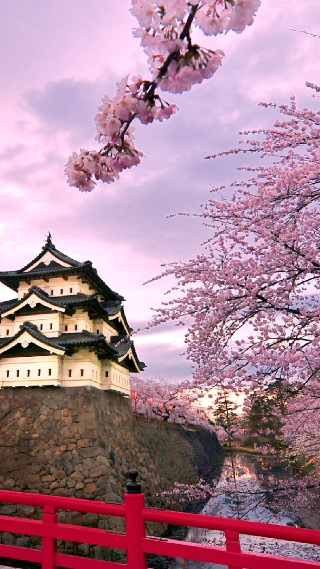 Обои Замок Хиросаки, Японский замок, цветение вишни, замок, цветок в разрешении 1080x1920