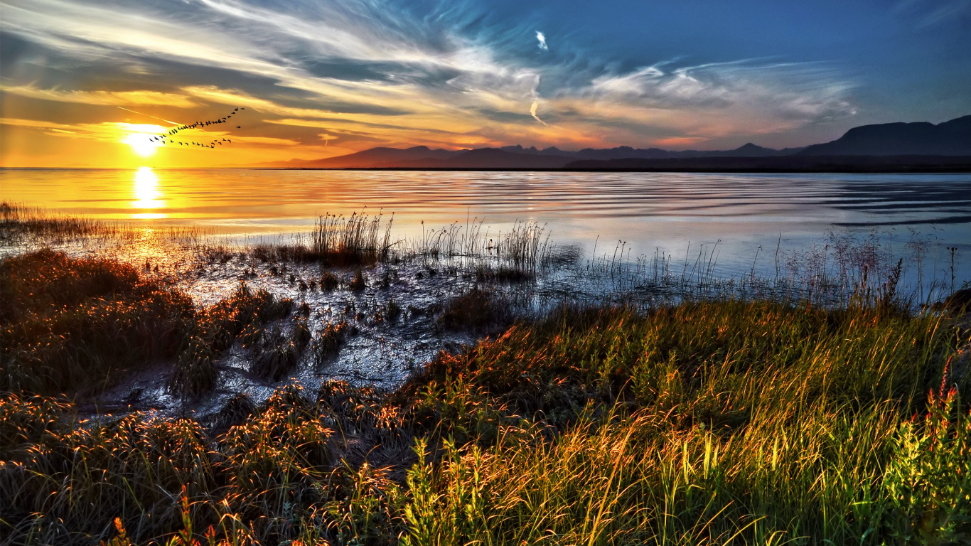 Обои вода, отражение, трава, рассвет, утро в разрешении 1366x768