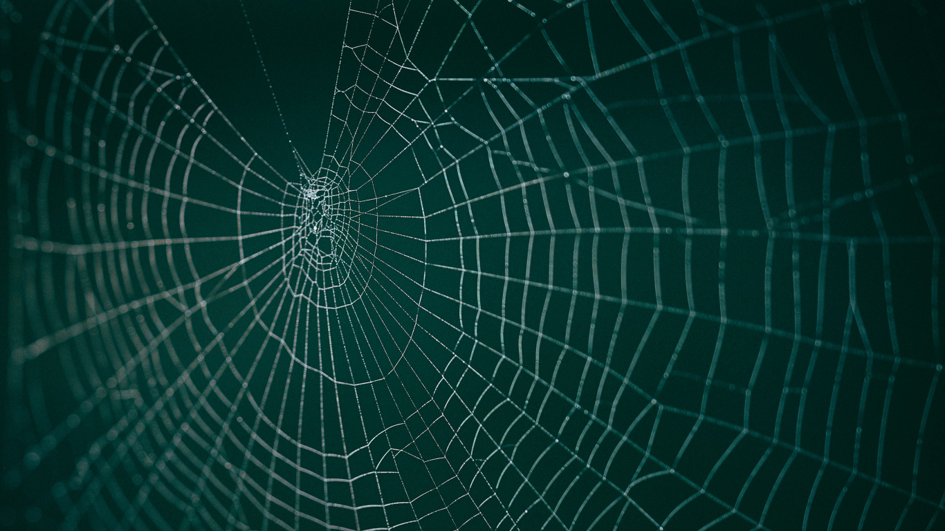 Обои паутина, вода, зеленый, линия, узор в разрешении 1366x768