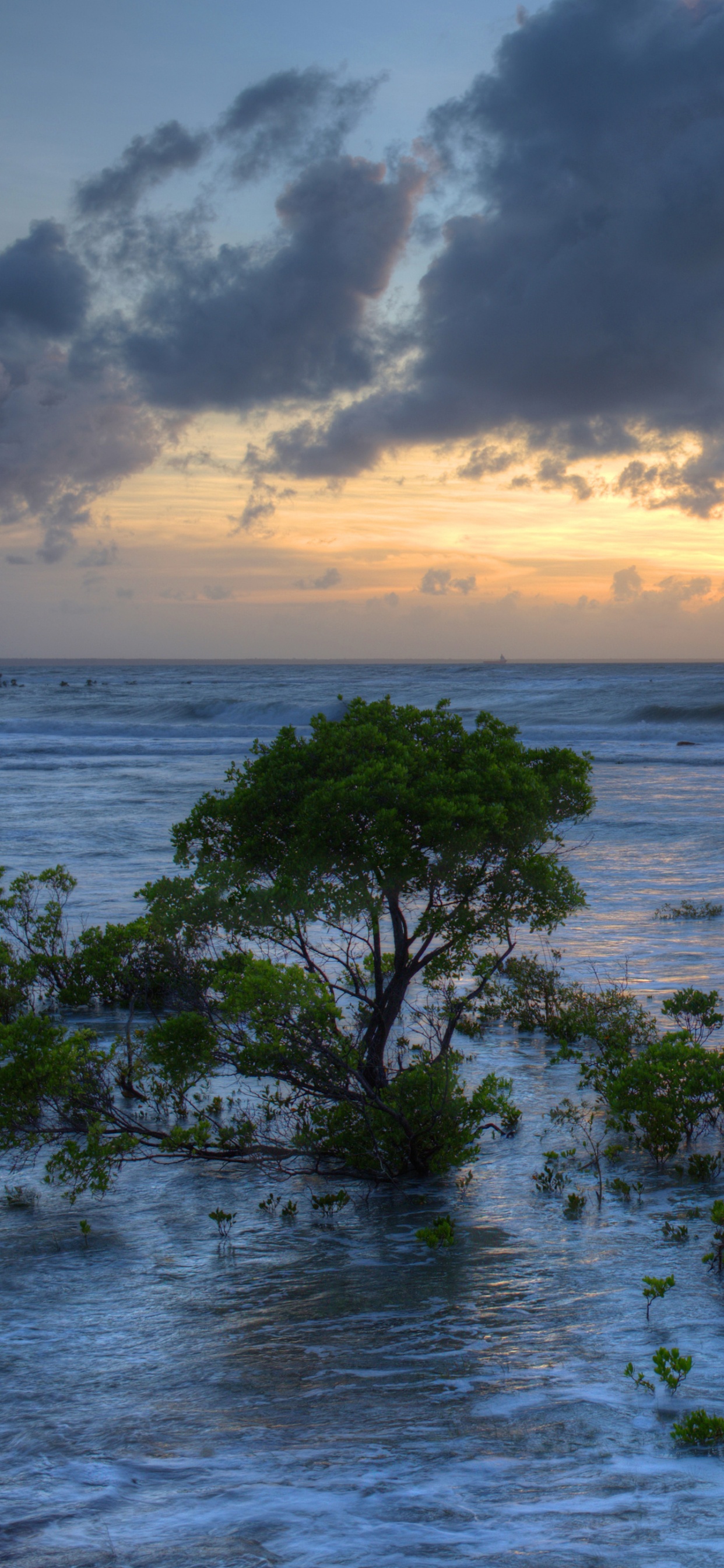 Обои море, Дарвин, природа, океан, вода в разрешении 1242x2688