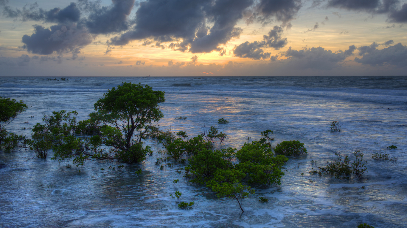 Обои море, Дарвин, природа, океан, вода в разрешении 1366x768