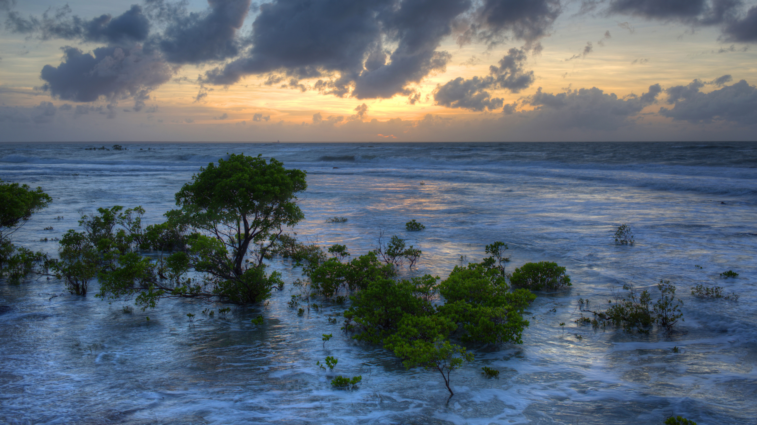 Обои море, Дарвин, природа, океан, вода в разрешении 2560x1440