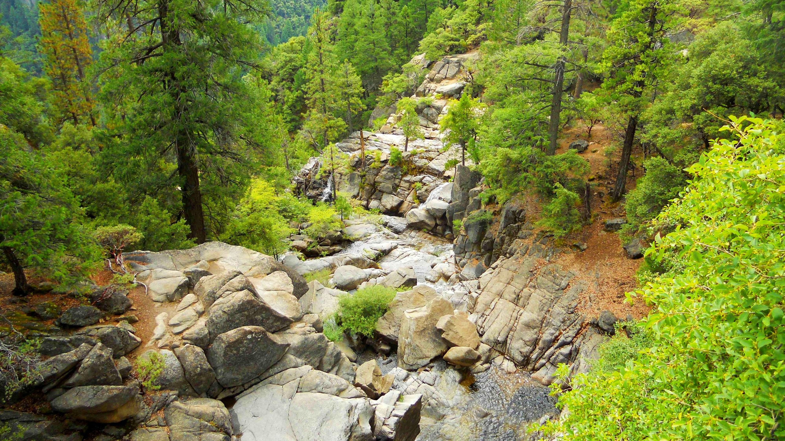 Обои водоток, природный заповедник, растительность, поток, прибрежные зоны в разрешении 2560x1440