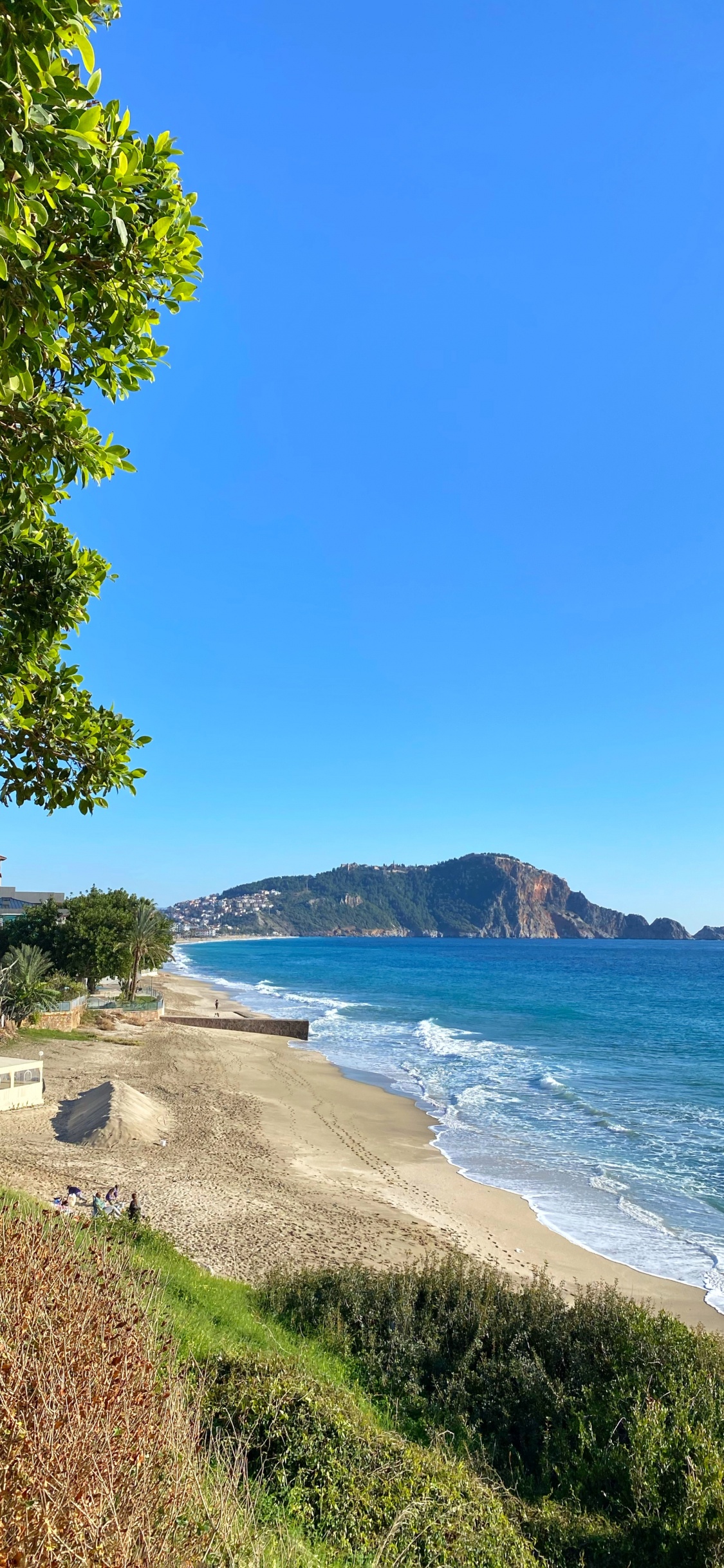 Обои Клеопатра Бич, побережье, вода, растение, гидроресурсы в разрешении 1125x2436