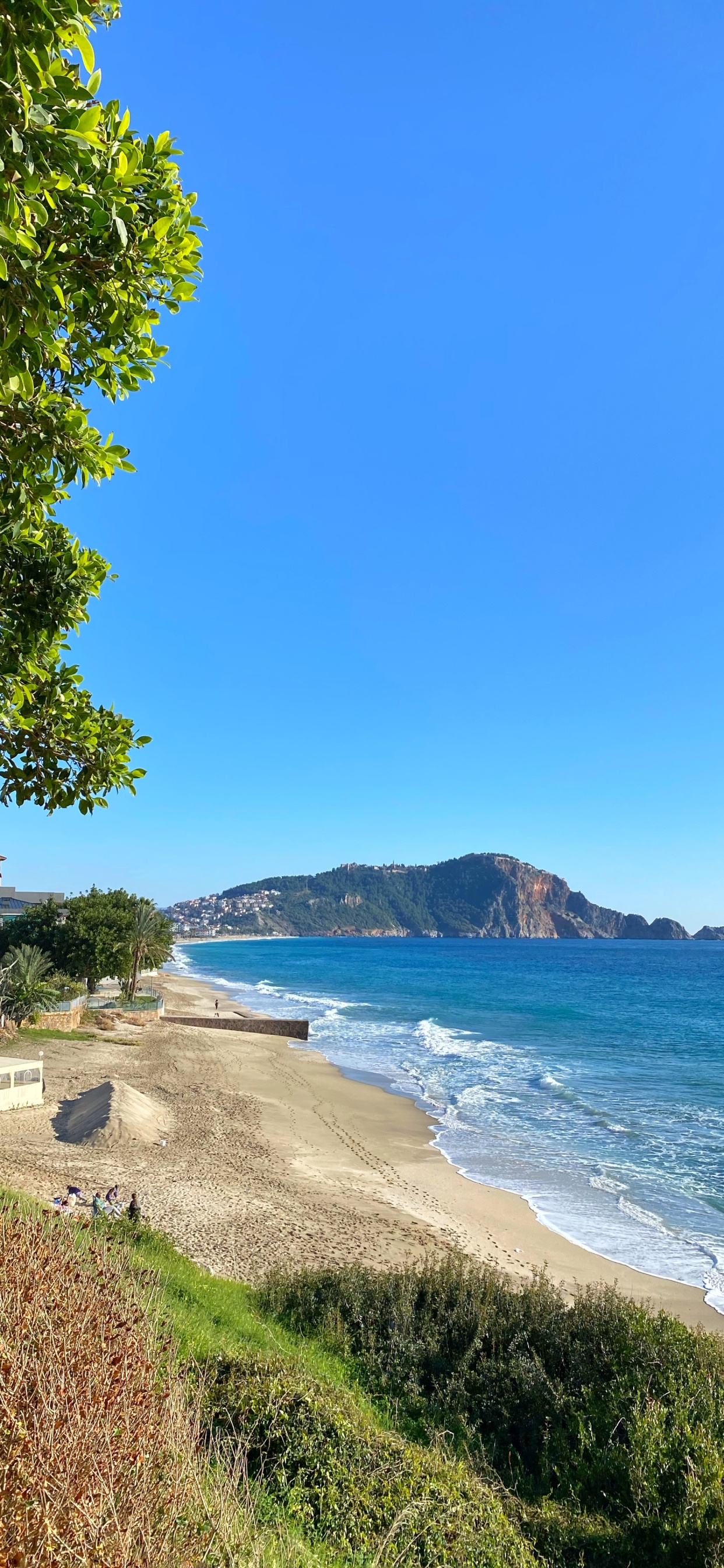 Обои Клеопатра Бич, побережье, вода, растение, гидроресурсы в разрешении 1242x2688