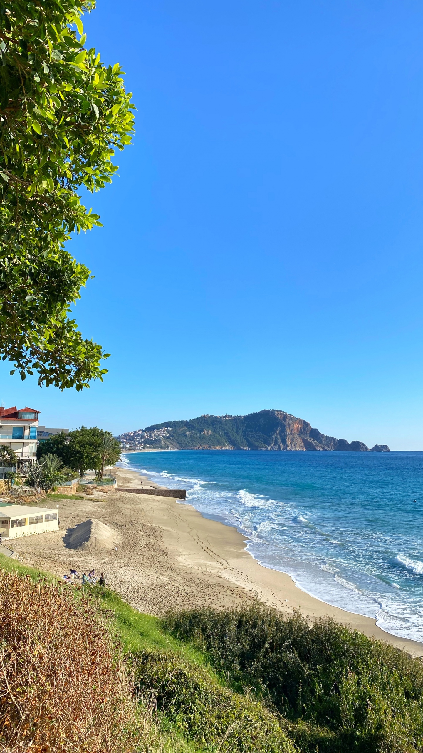 Обои Клеопатра Бич, побережье, вода, растение, гидроресурсы в разрешении 1440x2560