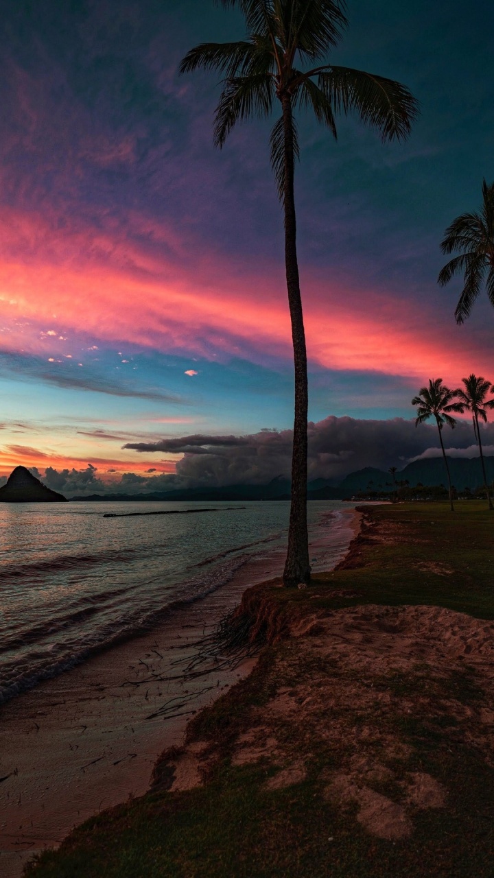 Обои Лока глубокая, пальмовые рощи, вода, облако, атмосфера в разрешении 720x1280