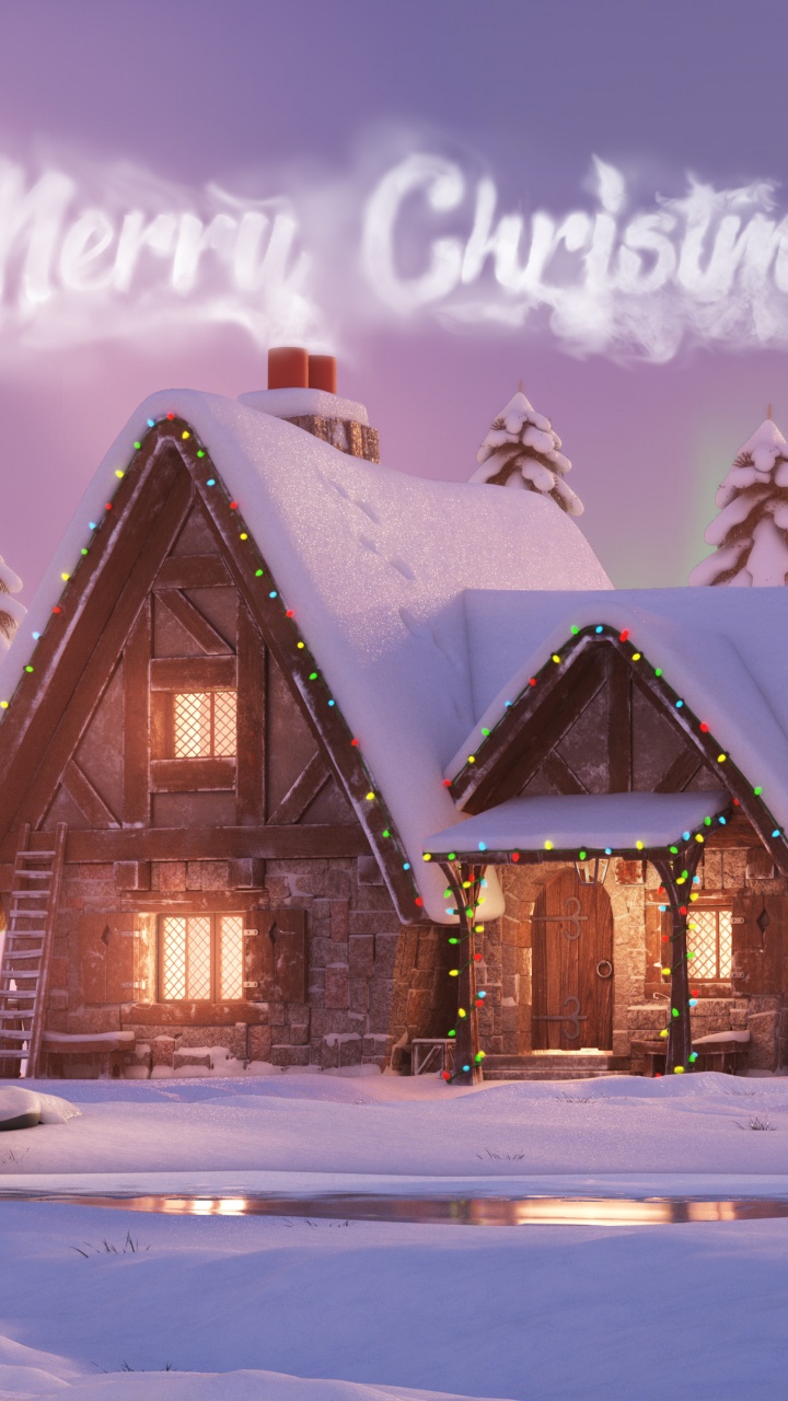 Обои Рождество, Санта-Клаус, снег, растение, свет в разрешении 720x1280