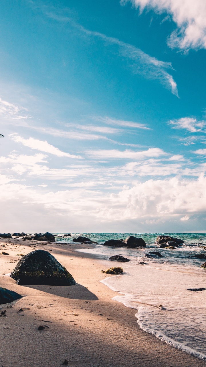 Обои пляж, побережье, облако, море, океан в разрешении 720x1280