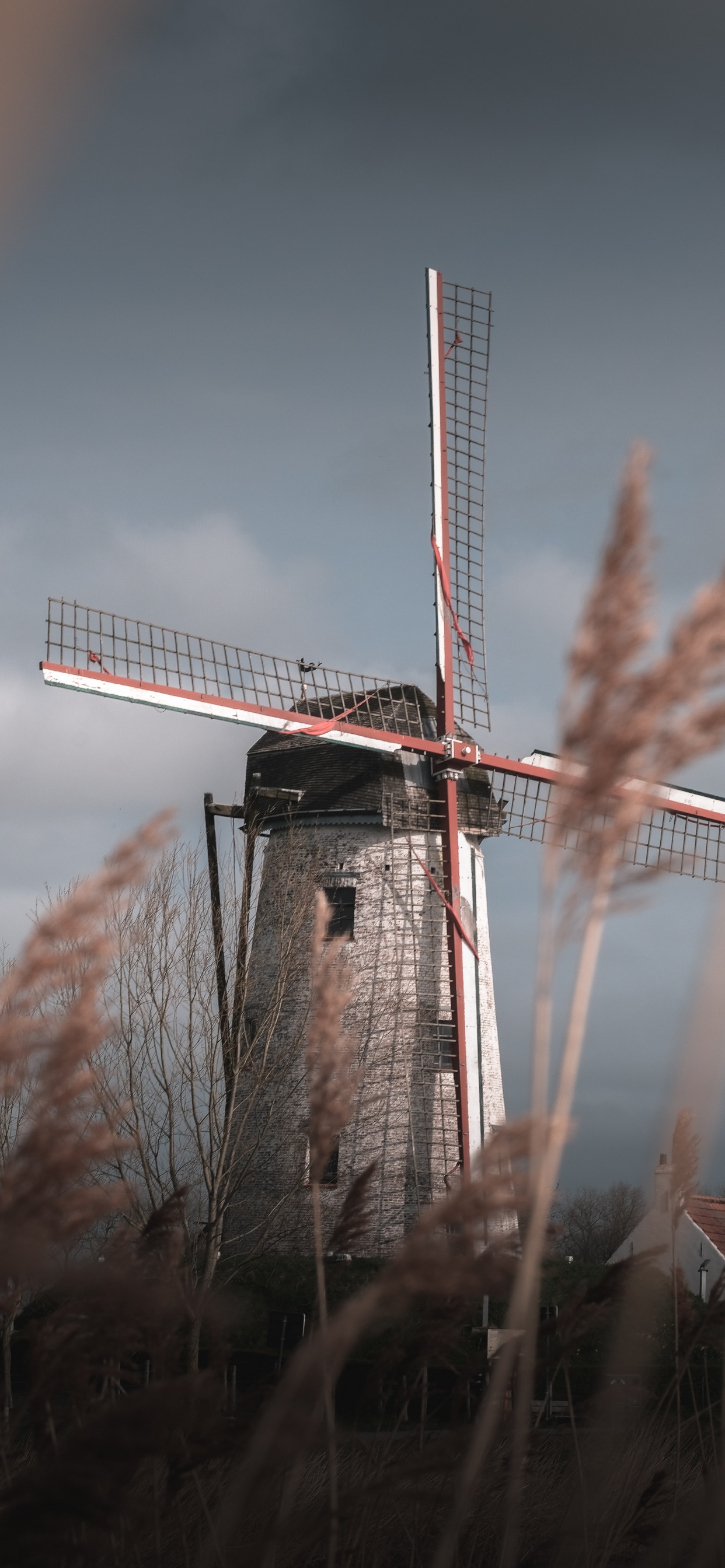 Обои ветряная мельница, семейство травы, ветровая турбина, ветер, здание в разрешении 1242x2688