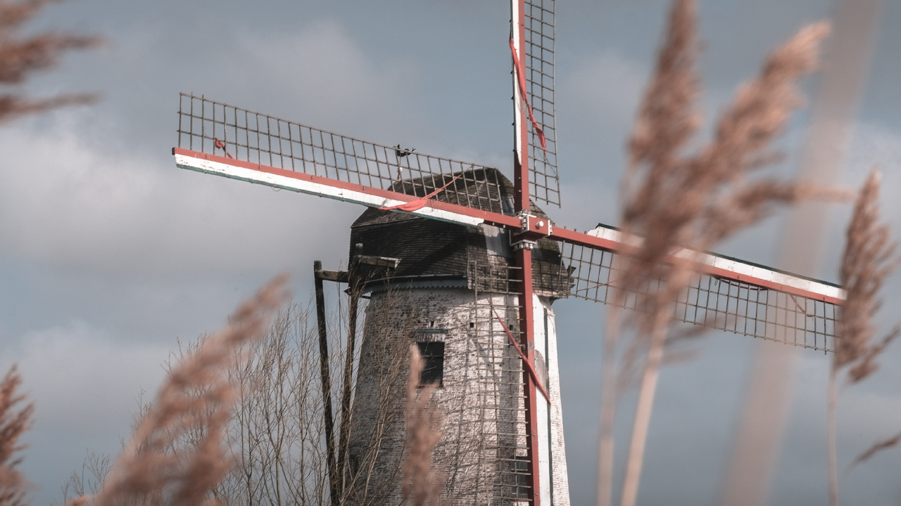 Обои ветряная мельница, семейство травы, ветровая турбина, ветер, здание в разрешении 1280x720