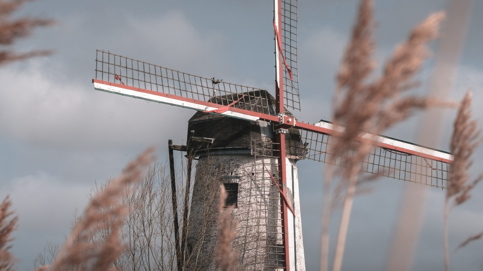 Обои ветряная мельница, семейство травы, ветровая турбина, ветер, здание в разрешении 1920x1080