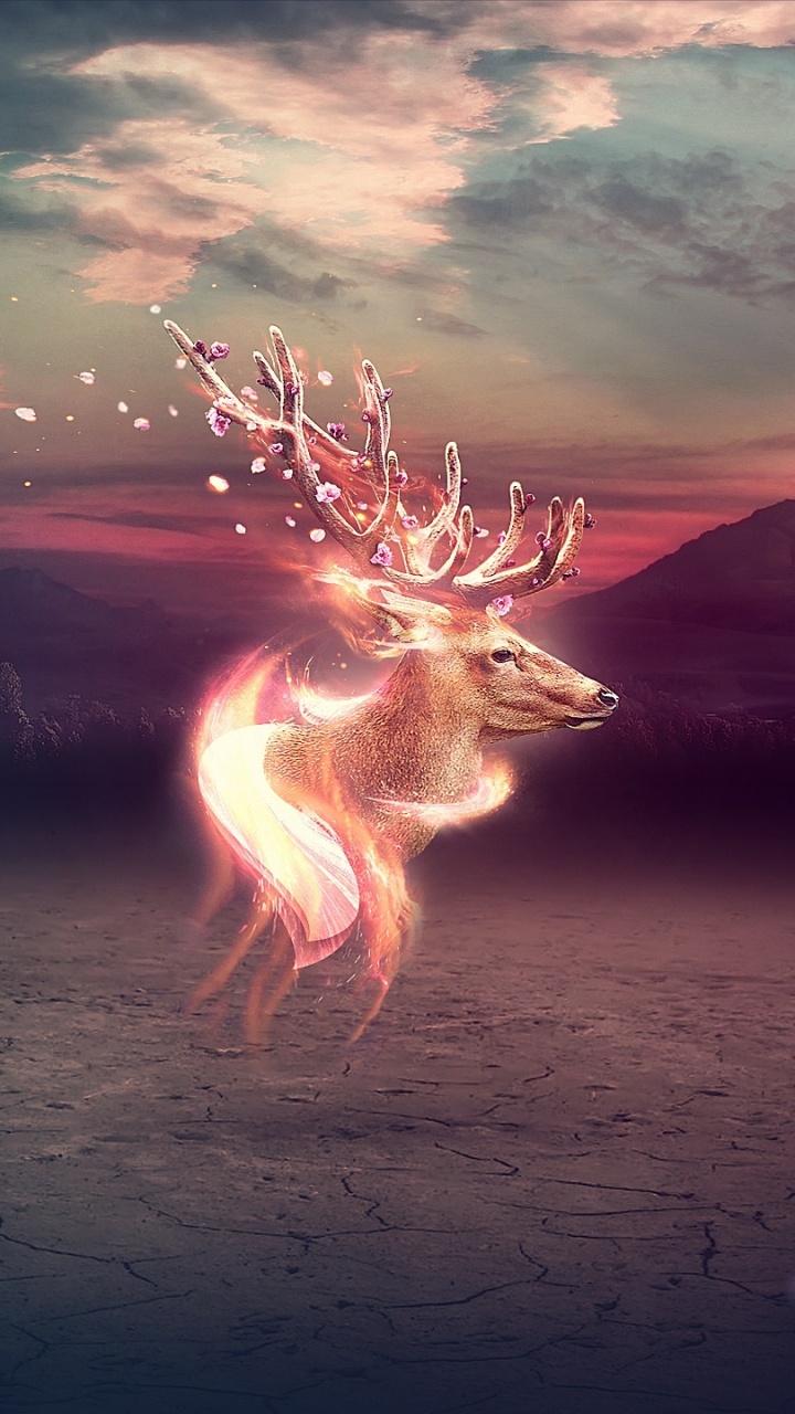 Обои олень, атмосфера, темнота, космос, небо в разрешении 720x1280