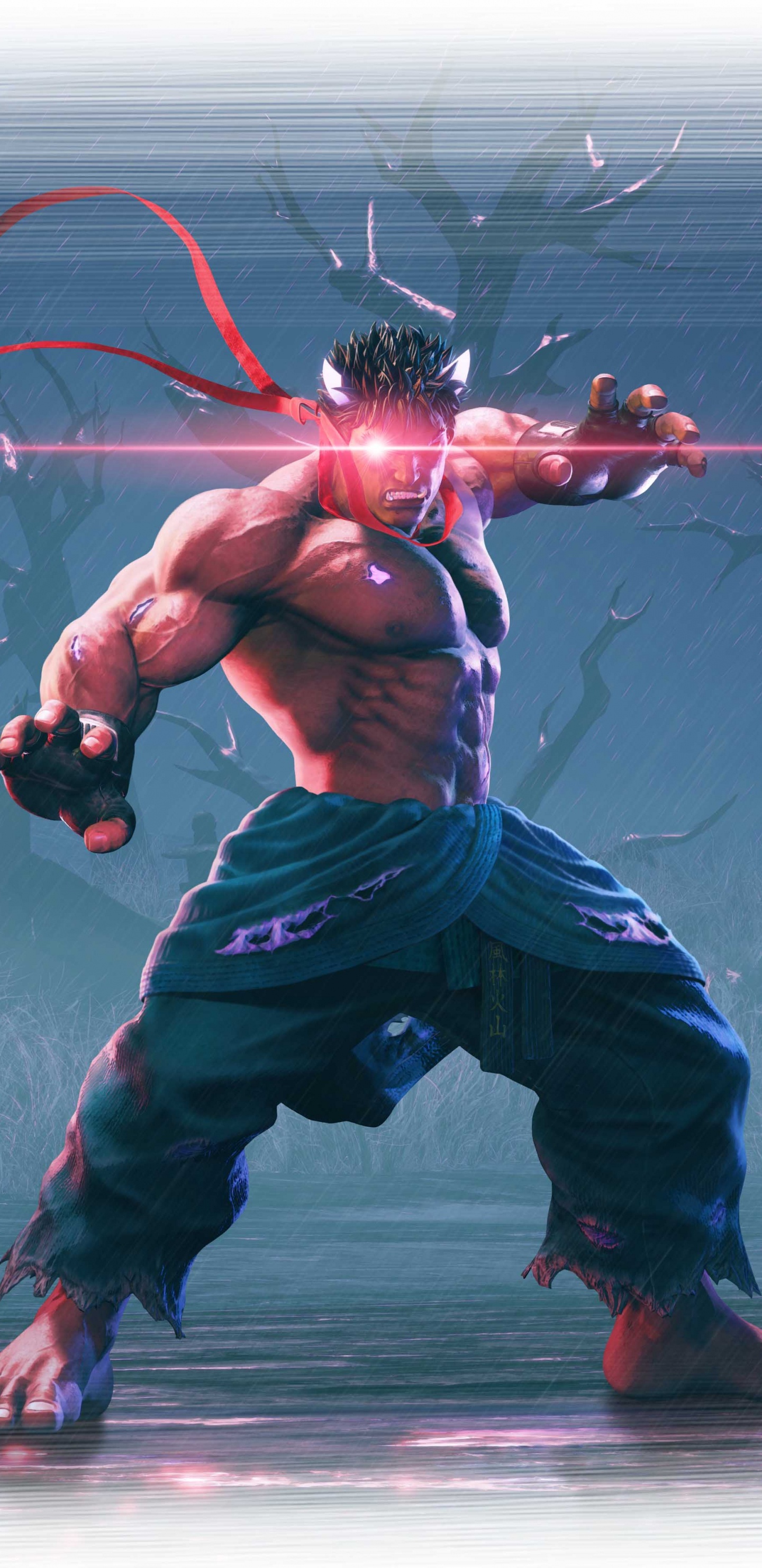 Обои уличный Боец V, Рю, капком, фигурка, супергерой в разрешении 1440x2960