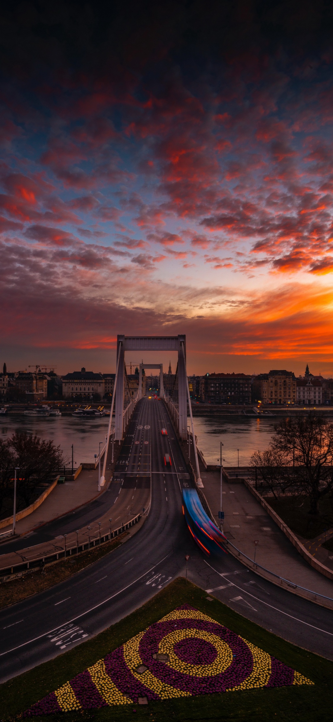 Обои Будапешт, облако, вода, растение, инфраструктура в разрешении 1125x2436