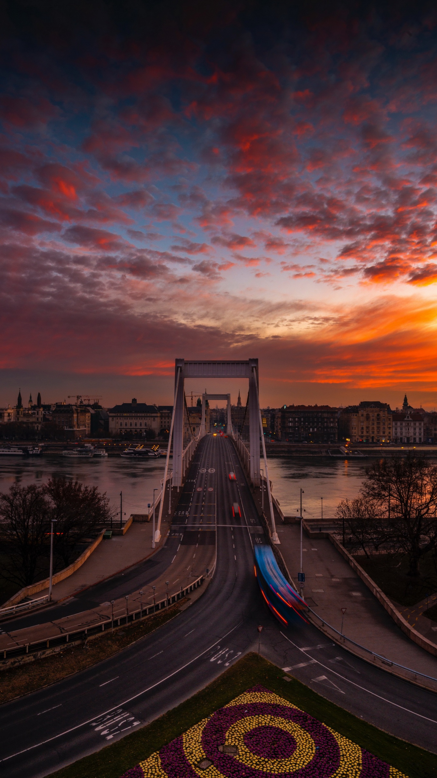 Обои Будапешт, облако, вода, растение, инфраструктура в разрешении 1440x2560