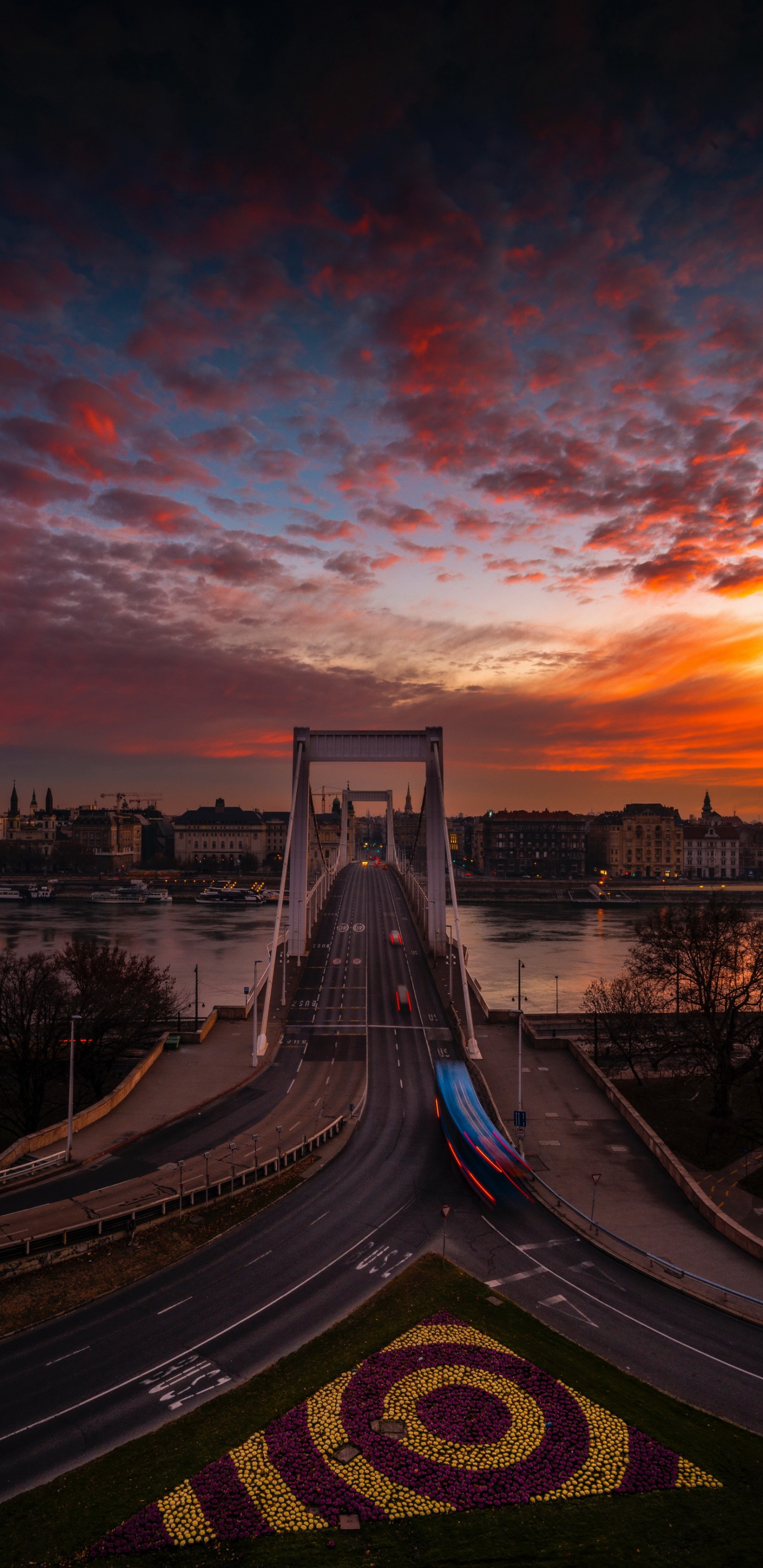 Обои Будапешт, облако, вода, растение, инфраструктура в разрешении 1440x2960