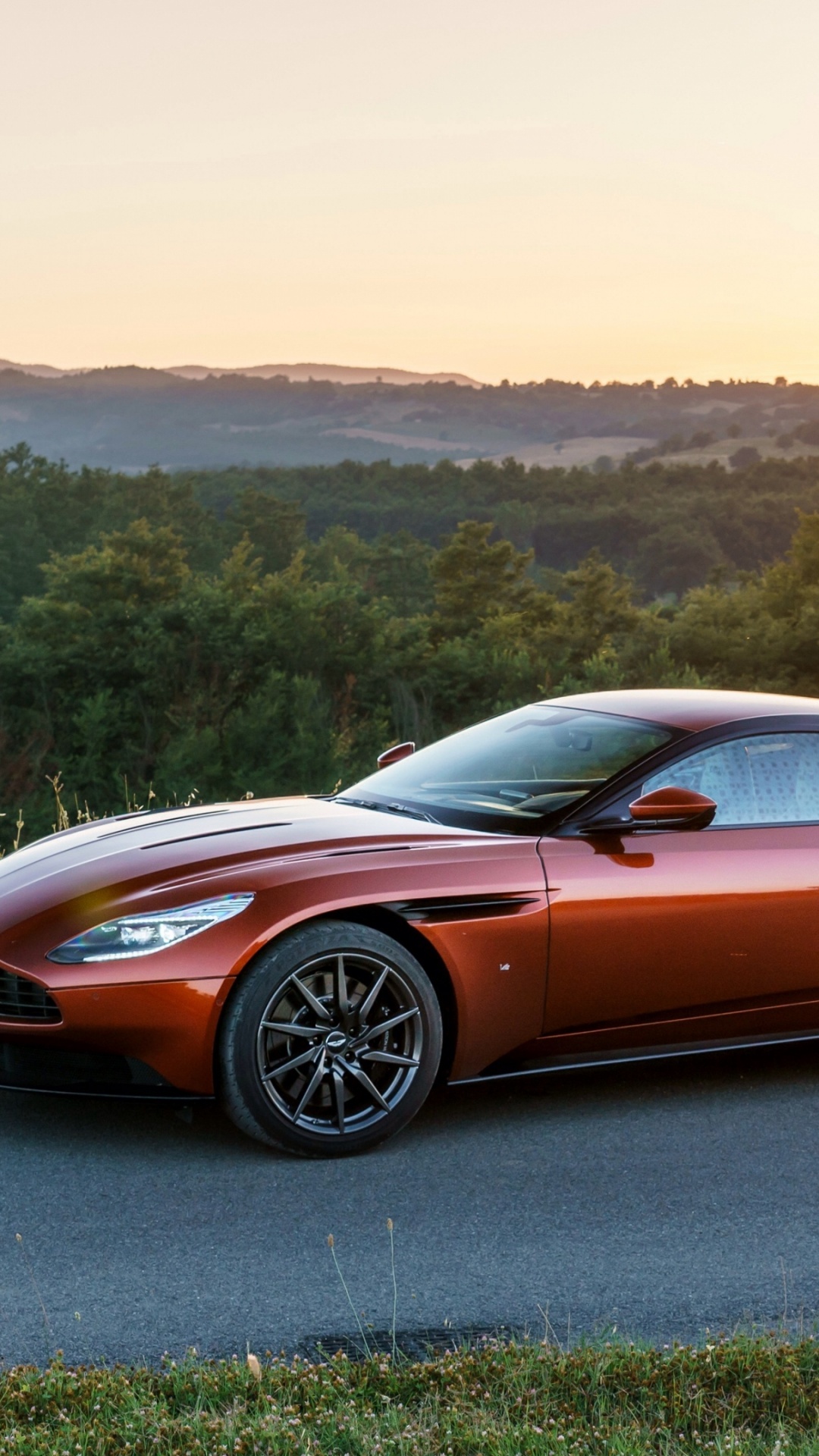 Обои 2017 Астон Мартин DB11, Астон Мартин, Астон Мартин дбс, авто, спорткар в разрешении 1080x1920