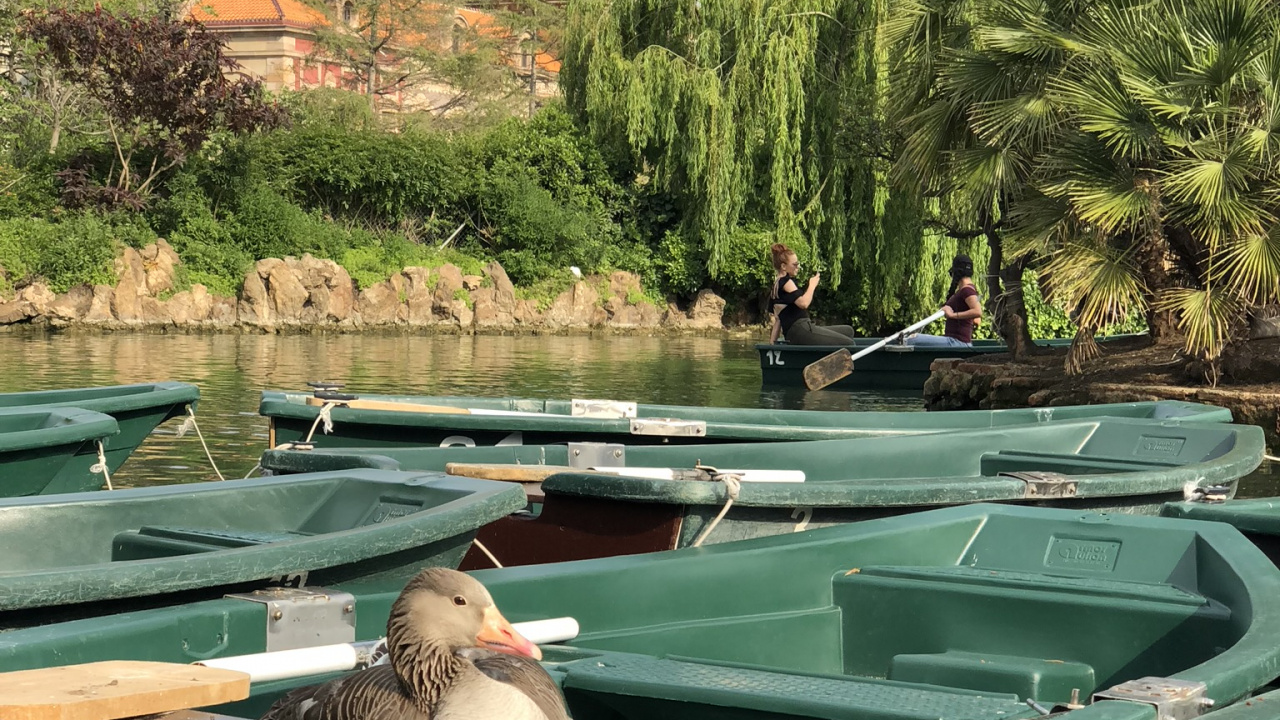 Обои вода, плавательный бассейн, лодка, водные элементы, водоем в разрешении 1280x720