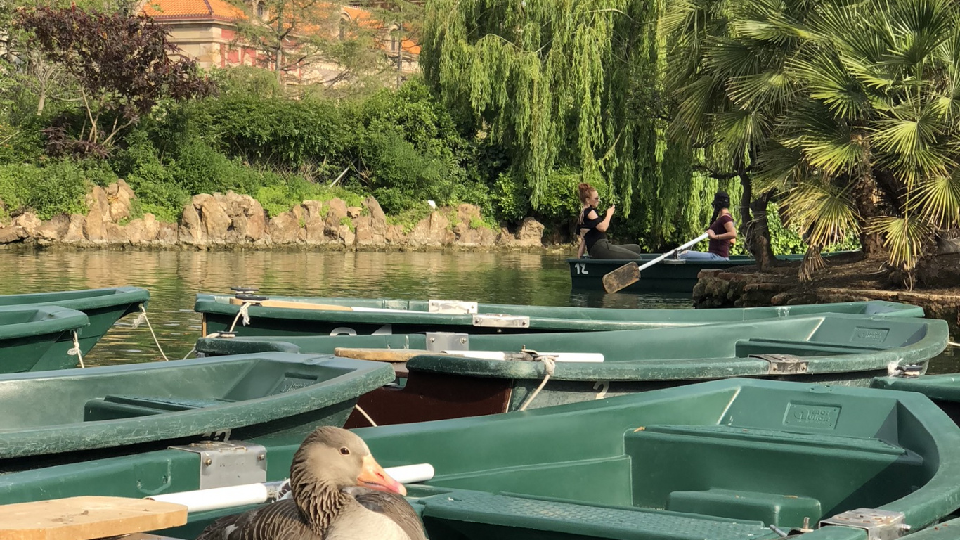 Обои вода, плавательный бассейн, лодка, водные элементы, водоем в разрешении 1366x768