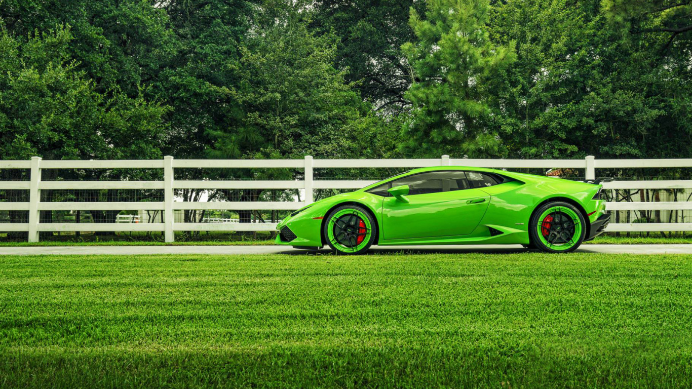 Обои Ламборджини, суперкар, зеленый, Ламборгини авентадор, растение в разрешении 1366x768