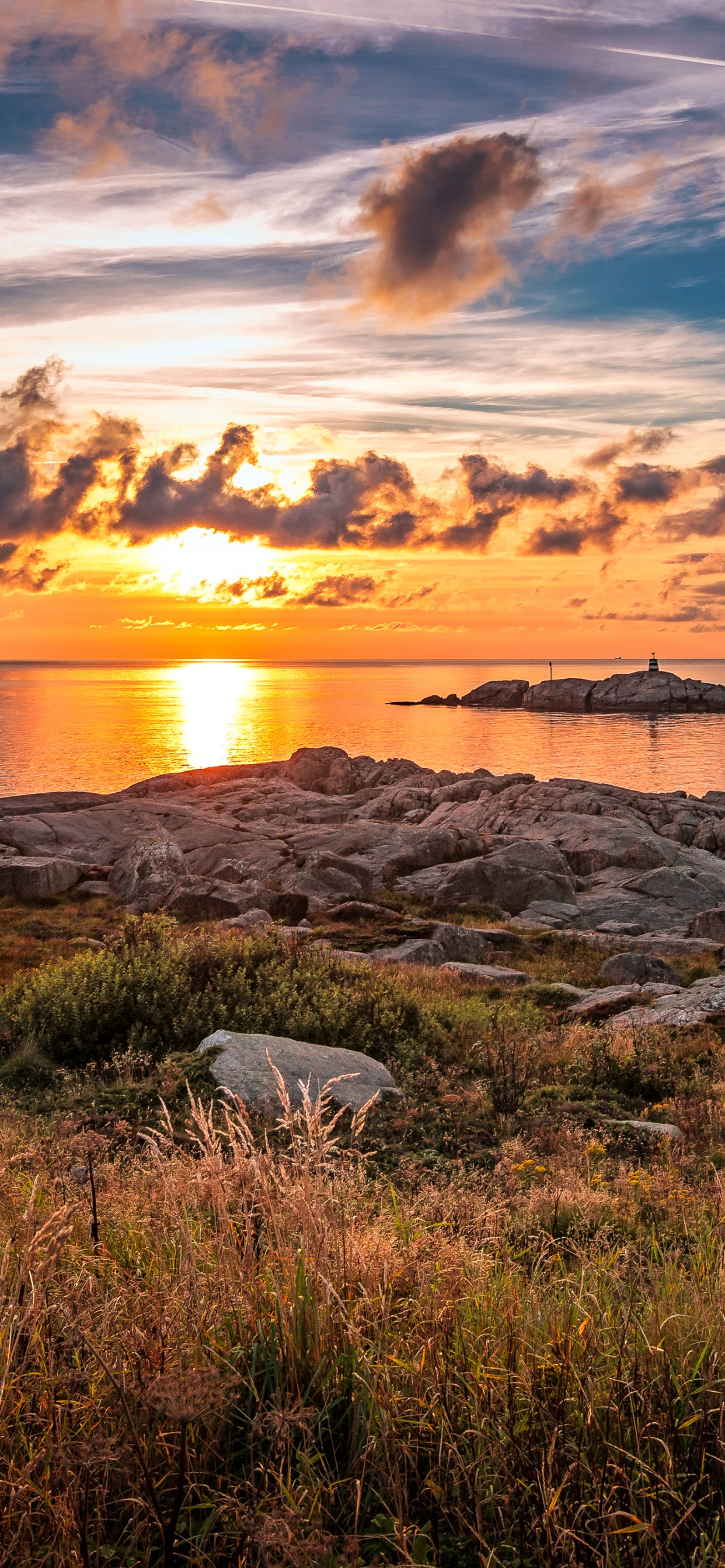 Обои закат, восход солнца, природа, берег, горизонт в разрешении 1242x2688