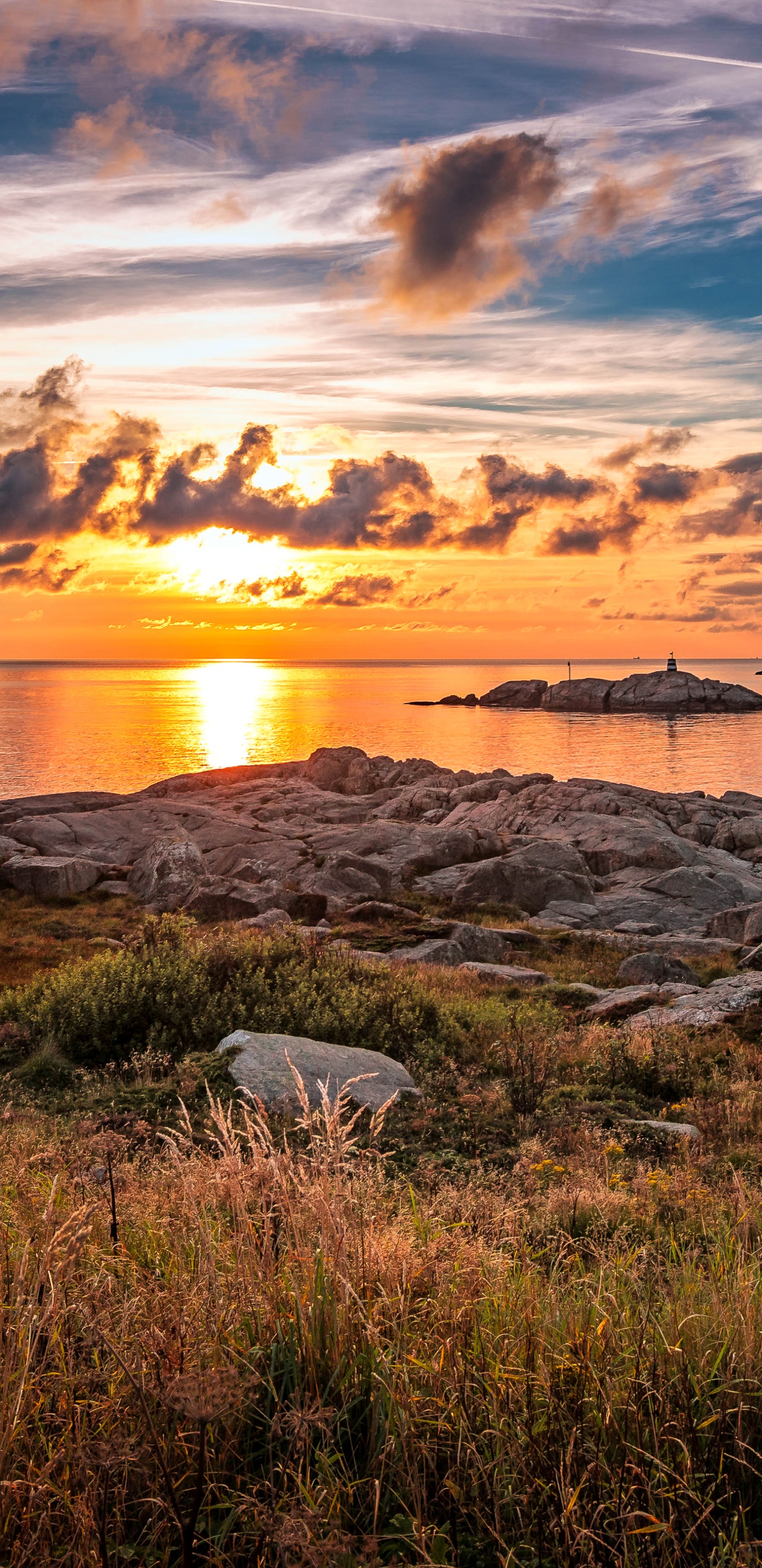 Обои закат, восход солнца, природа, берег, горизонт в разрешении 1440x2960