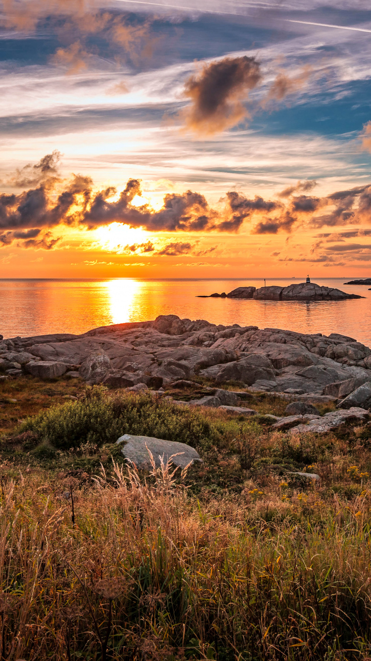 Обои закат, восход солнца, природа, берег, горизонт в разрешении 750x1334