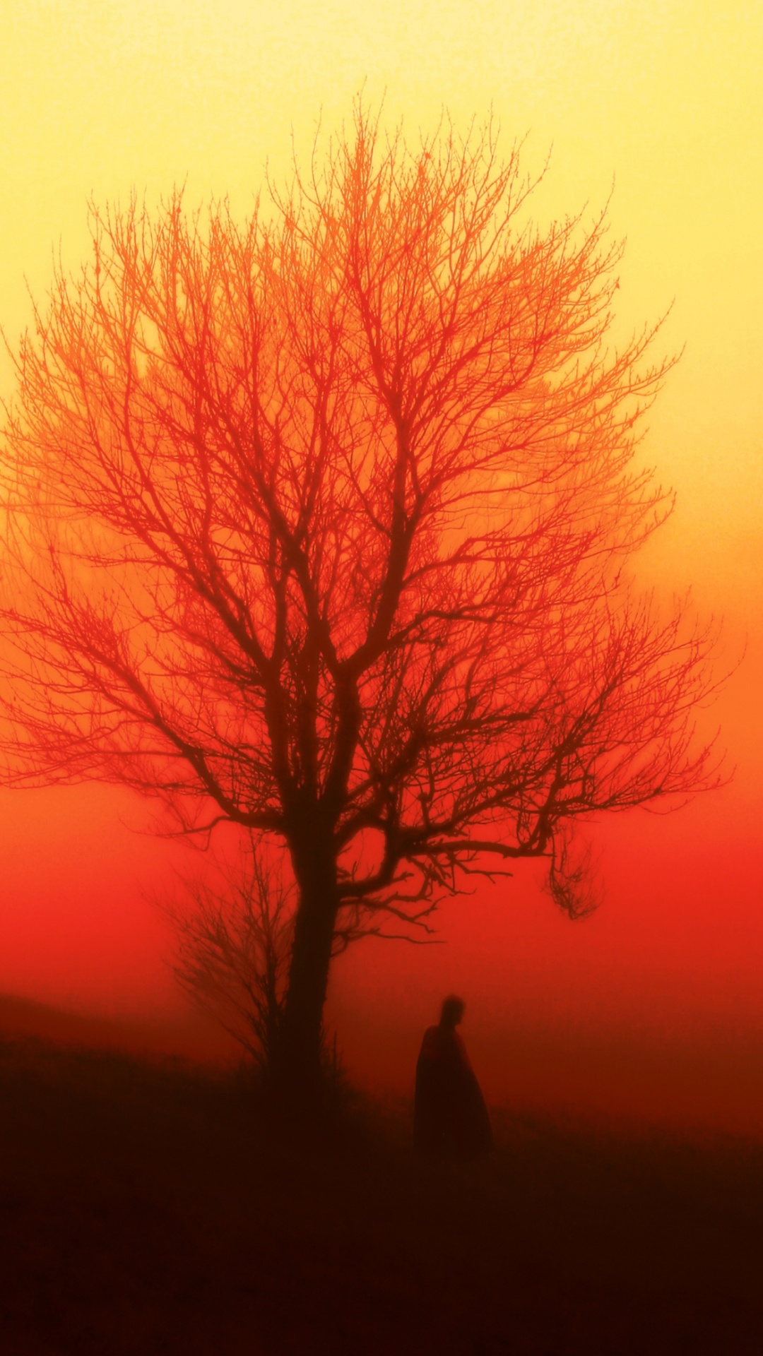 Обои атмосфера, растение, природа, дерево, лист в разрешении 1080x1920