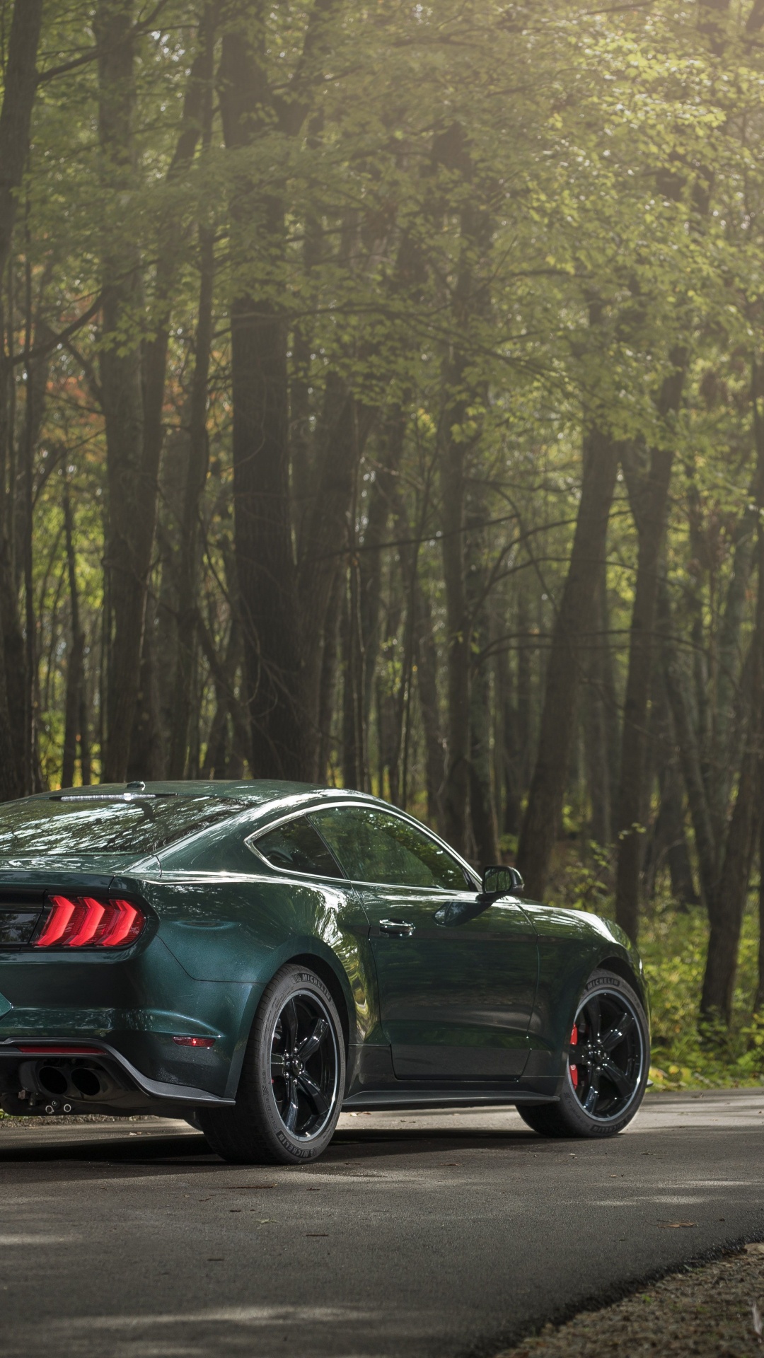 Обои авто, спорткар, ford, 2019 Форд Мустанг буллит, кузов купе в разрешении 1080x1920