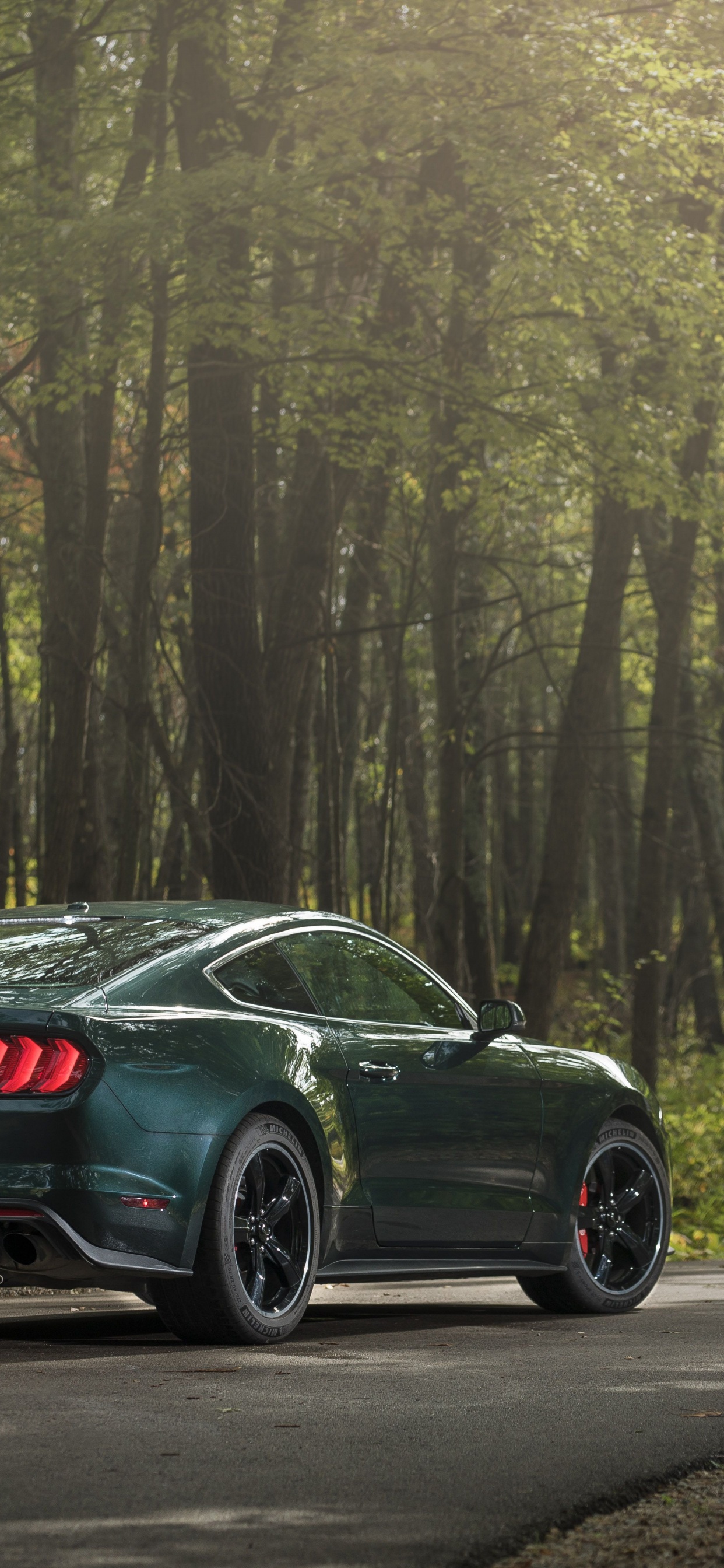 Обои авто, спорткар, ford, 2019 Форд Мустанг буллит, кузов купе в разрешении 1242x2688