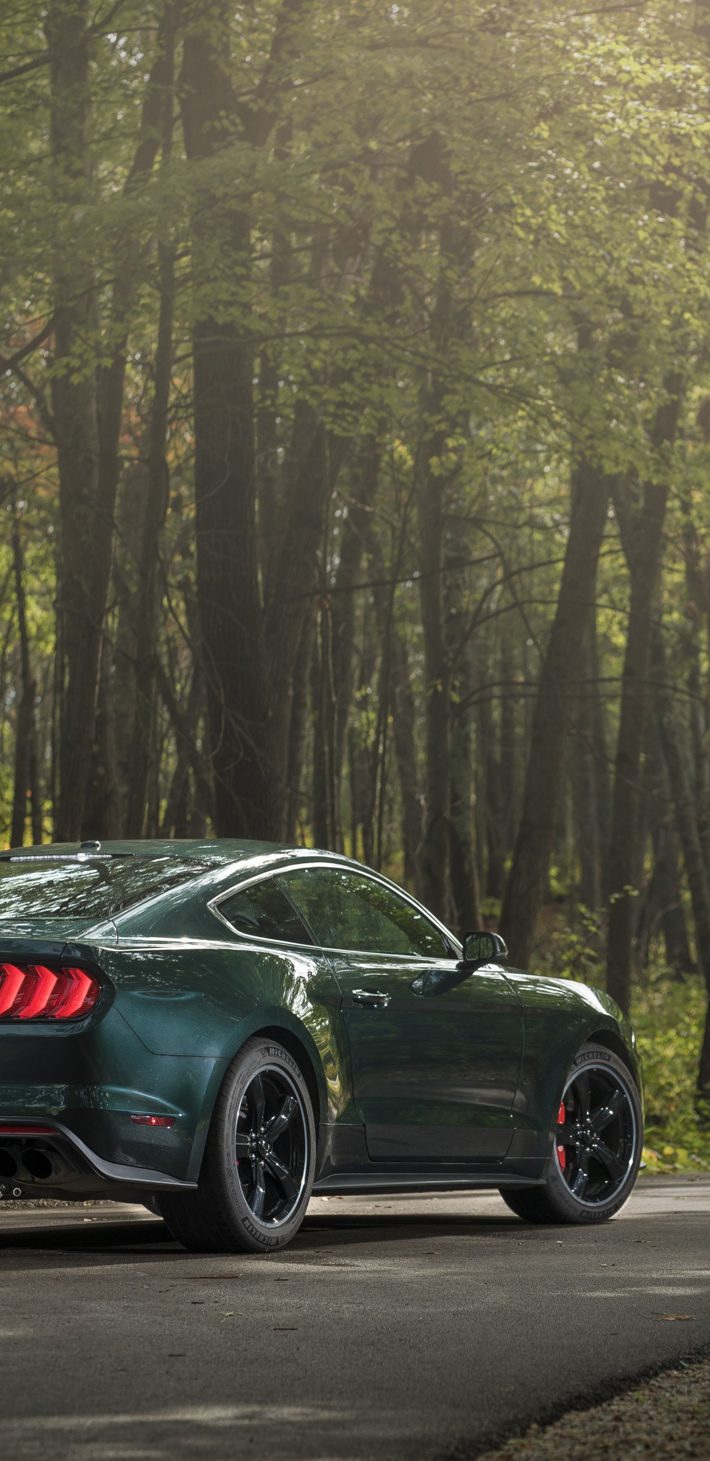 Обои авто, спорткар, ford, 2019 Форд Мустанг буллит, кузов купе в разрешении 1440x2960